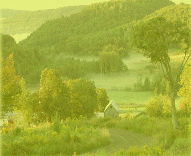 Initiative inspirante : le Hameau de la Colline du chêne