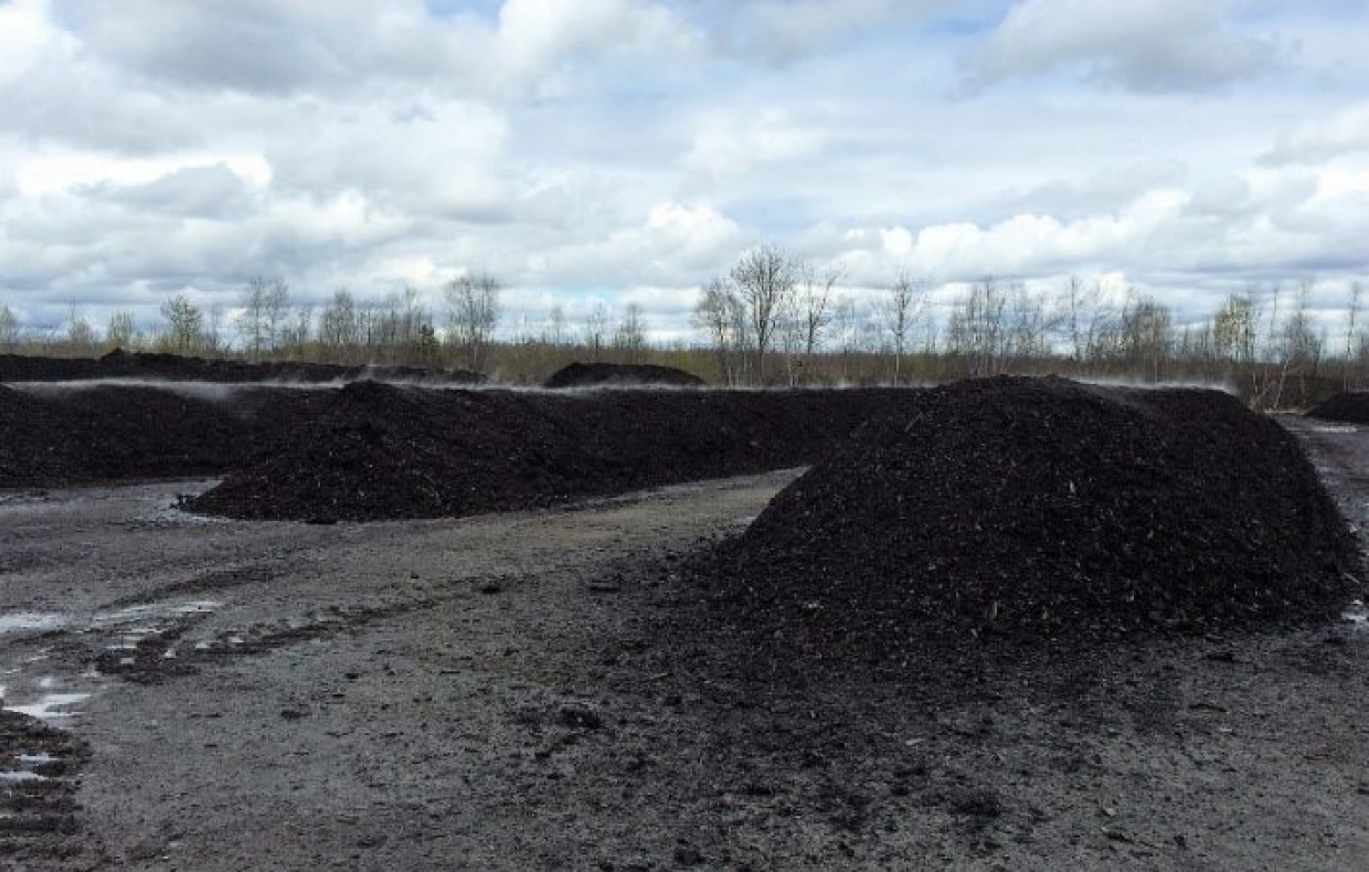Allées de compost entreposé dans un champs