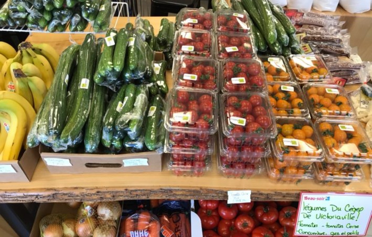 Fruits et légumes de la ferme-école du Cégep de Victoriaville emballés et disposés sur des tables pour la vente