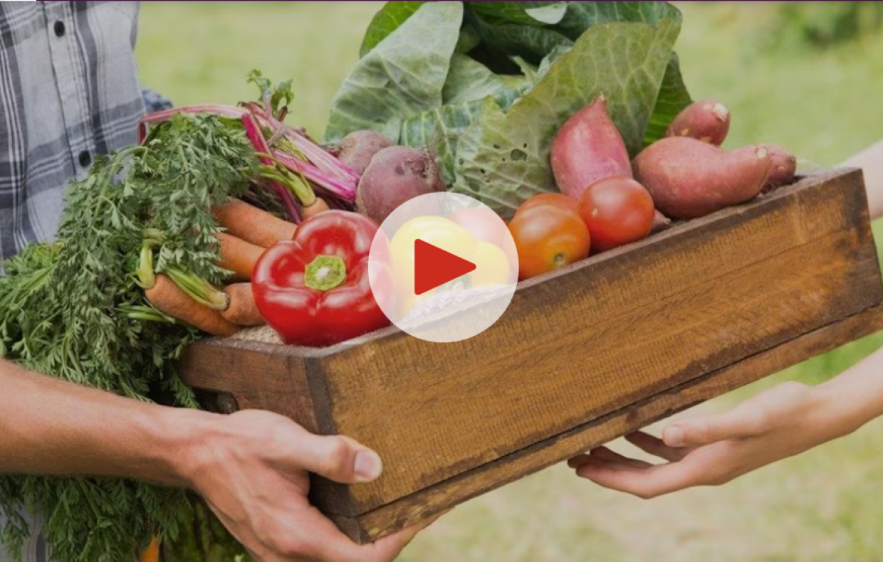 Des modèles de fonctionnement alternatifs pour les fermes offrant des paniers bios