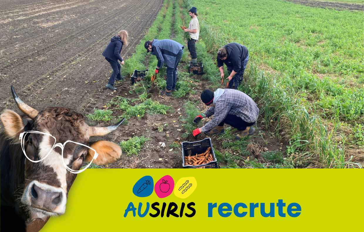 Appel de candidatures pour Ausirs phase 2