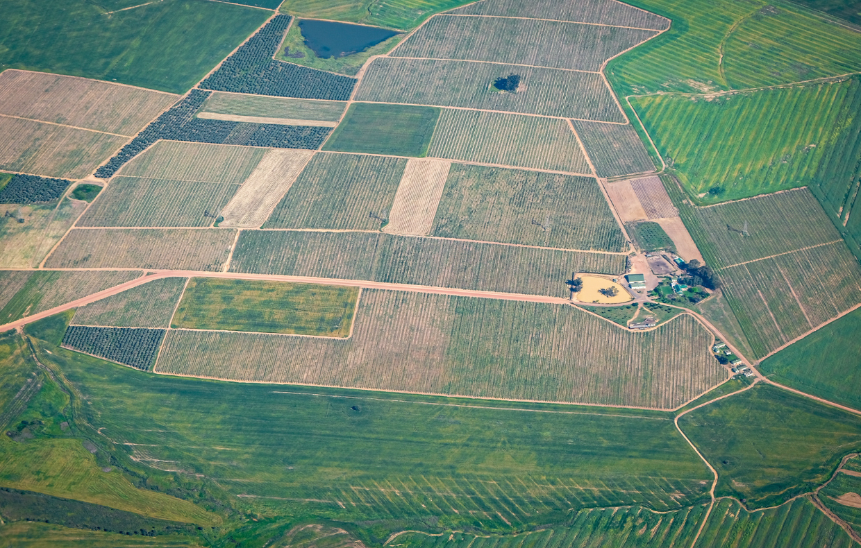 Le développement des fiducices foncières agricoles
