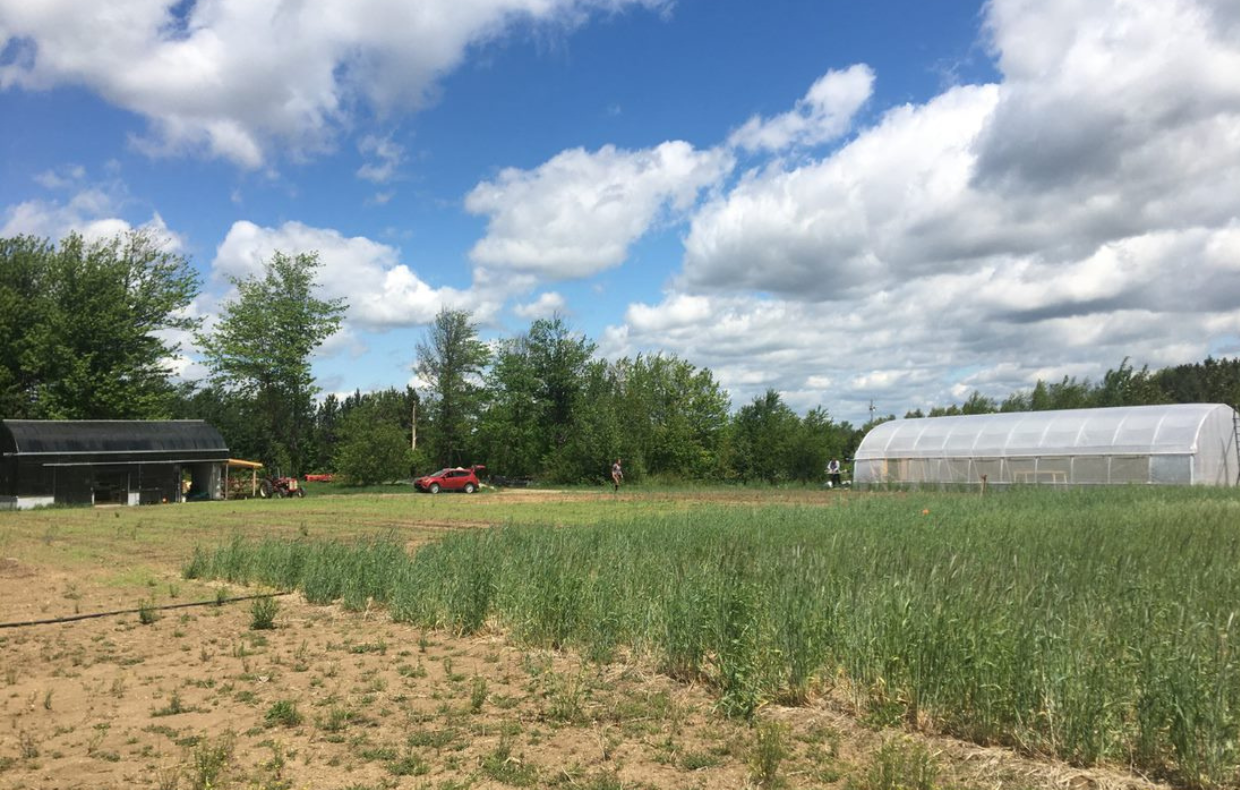 Les incubateurs d'entreprises agricoles au Québec