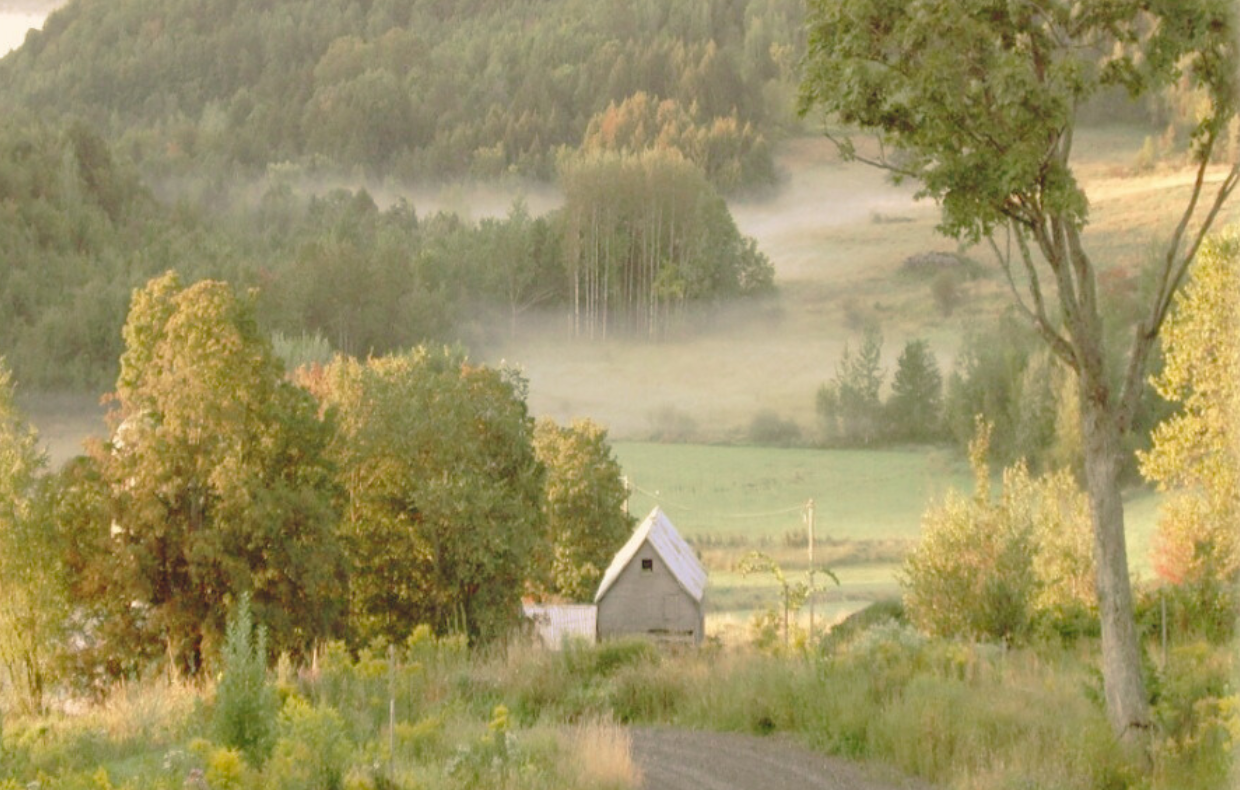 Le Hameau de la Colline du chêne, une initiative inspirante dans le cadre du projet « Repenser l'habitation »