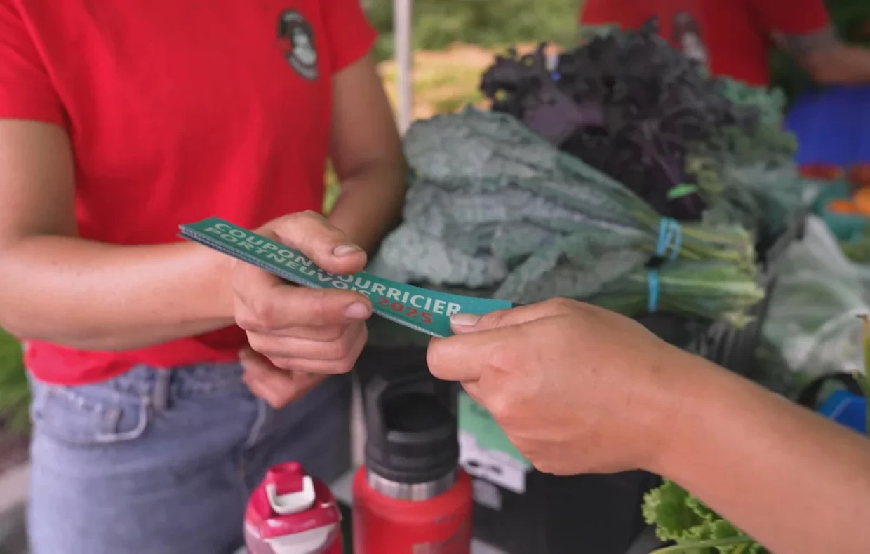 Un reportage de l'Épicerie, sur notre projet Coupons Nourriciers