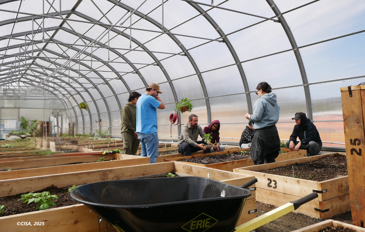 Un nouveau projet en innovation sociale et agronomie dans le Nord du Québec.