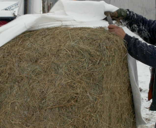 Homme près d'une balle de foin enrobée de plastique agricole