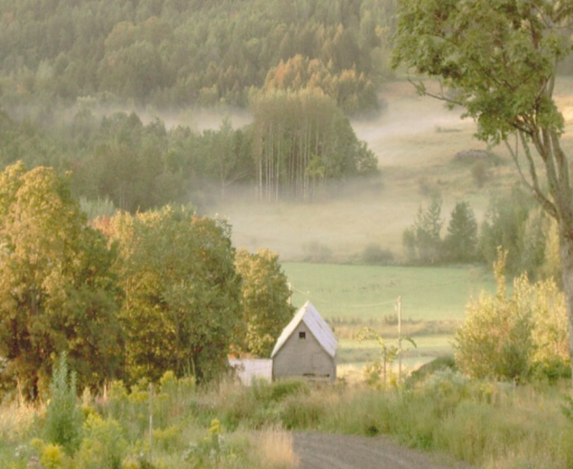 Le Hameau de la Colline du chêne, une initiative inspirante dans le cadre du projet « Repenser l'habitation »