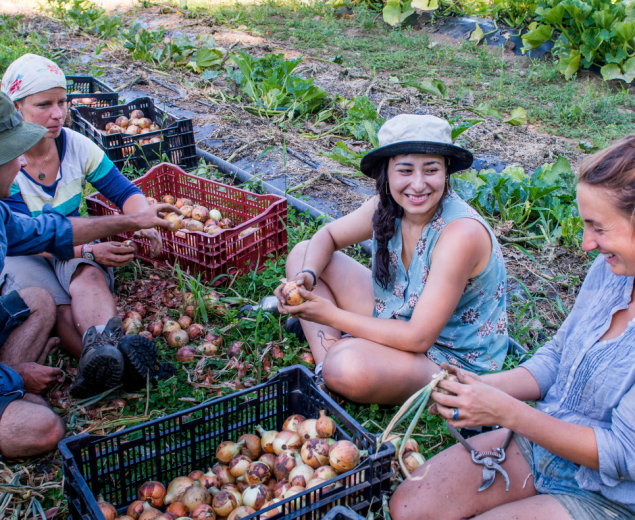 Vers la cocréation d'un modèle de jardin de solidarité innovant et durable