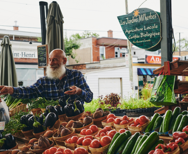 Mise à l'échelle des coupons nourriciers - 20026 à 2029